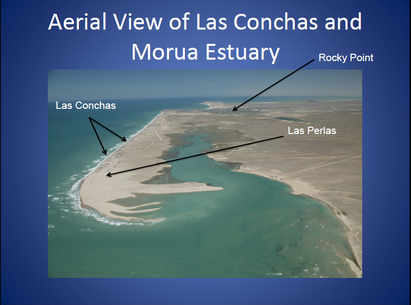 Areal View of Las Conchas and Morua Estuary