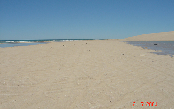 Coastal Sandy Beaches And Sand Dunes View Along Las Conchas
